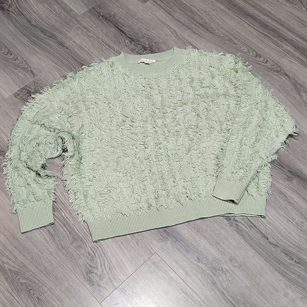 EUC Sage Green Fuzzy Vine & Love Boho Crewneck Sweater